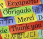 Want to learn 16 languages? Murder 3 Israelis