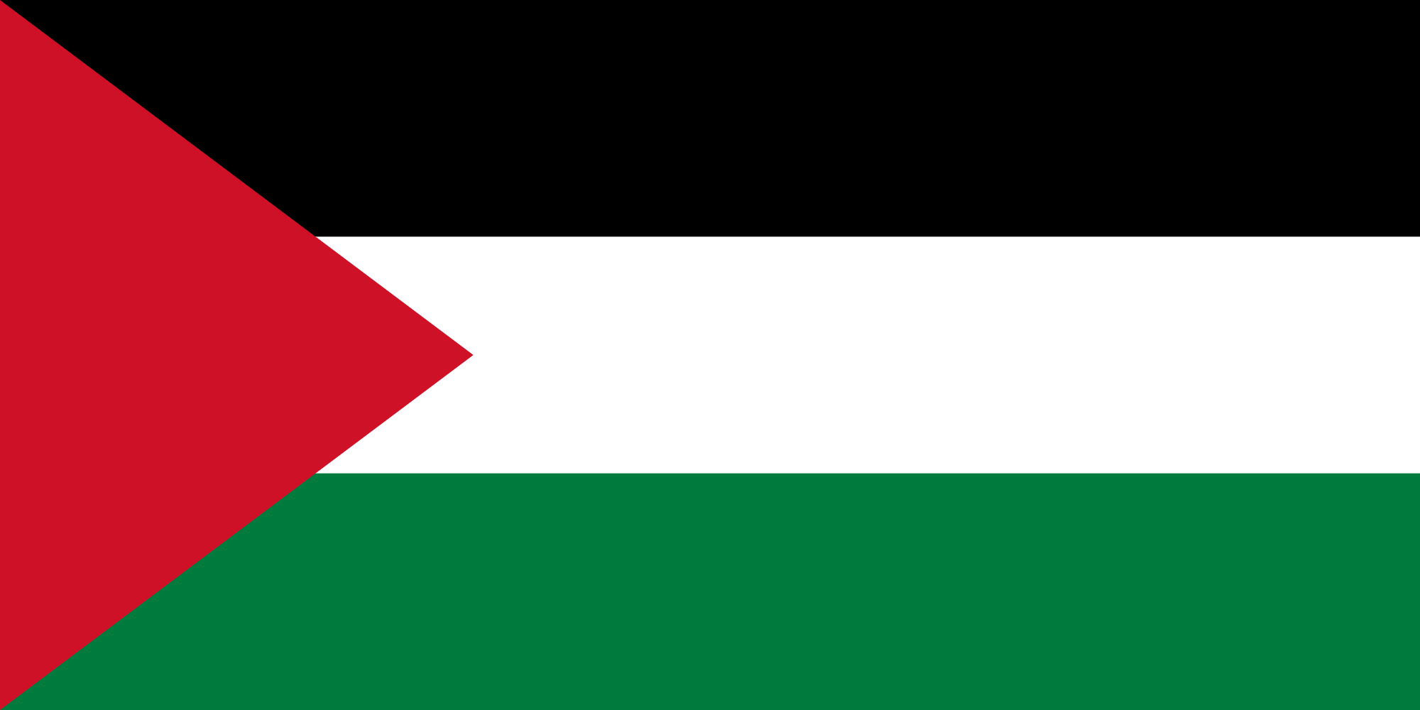 2019 statistics on domestic violence in the Palestinian Authority