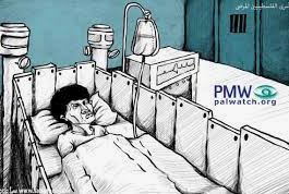 Israel has a "policy of slow death," and "medical crimes" against Palestinian prisoners, lies Palestinian Authority