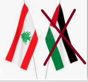 Double standards: Palestinians in Lebanon have "officially have been banned from certain industries for decades," but only Israel is labelled an apartheid state
