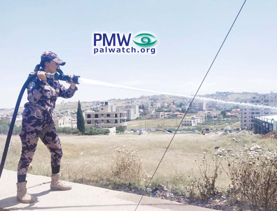 Is a new female Palestinian role model emerging?