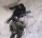 Terrorist attempts to stab Israeli police officers in Hebron