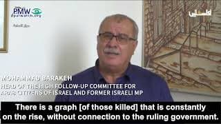 Since 2000, all Israeli governments have followed “a plan” to increase number of killed Israeli Arabs in internal crime